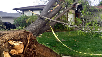 What to Do After the Storm: A Step-by-Step Guide to Storm Damage Repair in Omaha