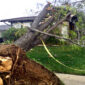 omaha storm damage repair services 1 85x85